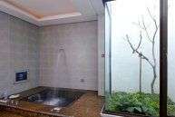 衝擊泉水柱SPA