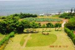海月面海庭院