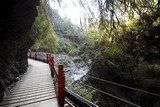 後山步道
