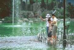親子餵魚池