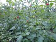 CAM00193