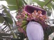 CAM00392