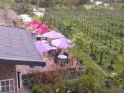 CAM00420
