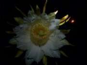 CAM00642