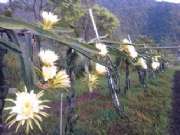 CAM00672