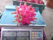 CAM00919