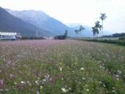 CAM01261