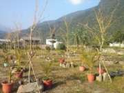 CAM01319