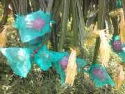 CAM00937