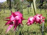 CAM00742