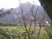 CAM01670