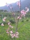 CAM01674