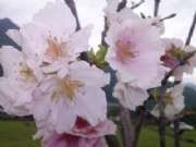 CAM01684