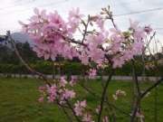 CAM01689