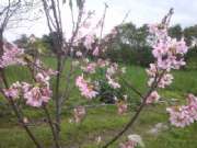 CAM01703
