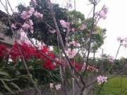 CAM01711