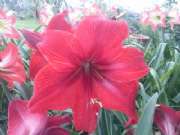 CAM01720