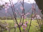 CAM01722