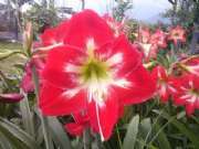 CAM01728