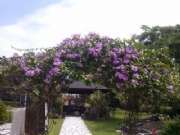 CAM01007