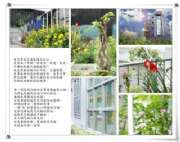 照片 497.jpg