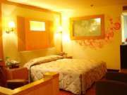 DSC08626.jpg