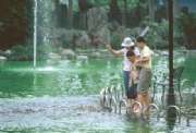 親子餵魚樂.jpg