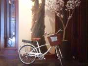 DSC00154.JPG