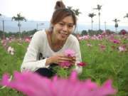 花東花海季