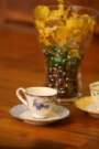 /Users/mac/Desktop/Seedhouse photo/IMG_0532.jpg