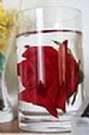 /Users/mac/Desktop/Seedhouse photo/cup.jpg
