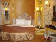 DSC00876.1.jpg