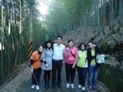 上山踩線~竹林隧道