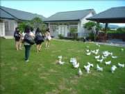 鄉貌休閒渡假民宿 CountryView