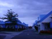 DSC09988