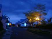 DSC09994