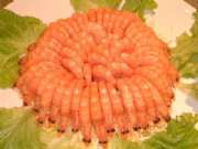 DSCF0117