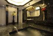 VIP VILLA