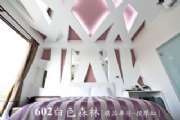 E602白色森林(封)
