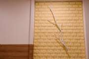 img-0353
