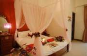 rose room(1).jpg