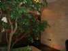 DSC03265_大小 .JPG