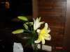 DSC00916_大小 .JPG