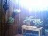 PICT0014.JPG