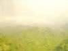 DSC00914-1.jpg