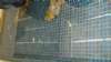 DSC00118.JPG