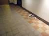 DSCF6533.JPG