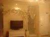 DSC00516.jpg