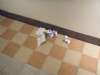 DSCF6534.JPG
