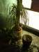 DSC05350.JPG